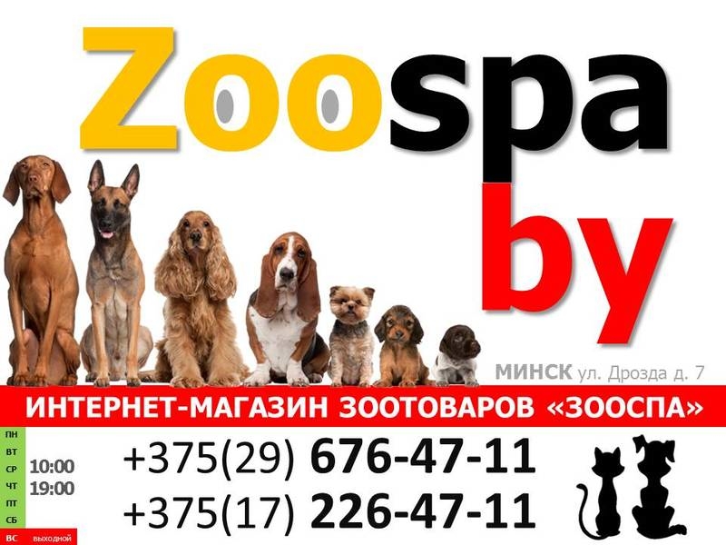 Zoo Интернет Магазин Для Животных Минск