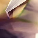 Внимание! Выставки - бесплатно!!!!!