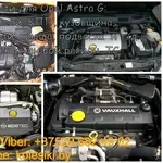 Opel Astra G (Опель Астра) двигатель,  кузовщина,  подвеска,  крыша,  четв