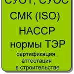 Технические условия,  сертификация продукции,  СМК ,  СУОТ,  НАССР