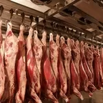 ООО ПроМясо закупка говядина свинина курица