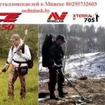 Металлоискатель напрокат