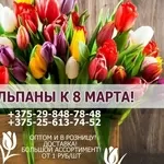 Продажа тюльпанов оптом и в розницу