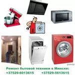 Ремонт стиральных машин,  посудомоек,  сушильных машин,  Минск. Выезд. 