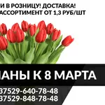 Закажи тюльпаны на 8 марта.