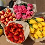 Тюльпаны оптом,  готовые букеты оптом в Минске