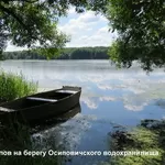 1-к Квартира в а/г Лапичи - 20 км Осиповичи,  40 км Минск.