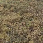 Продам дом в Новашино 20 км от Минска