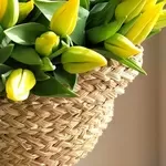 Тюльпаны 2026 от производителя опт