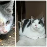 СРОЧНО НУЖНА ПОМОЩЬ!!!