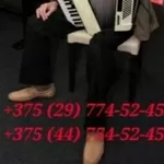 Баянист на юбилей на праздник