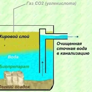 Биодеструктор жира для жироуловителей пищевых производств