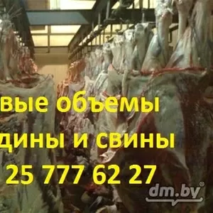 Говядина крупным оптом от производителя в Беларуси
