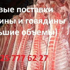 Свинина крупным оптом от производителя в Беларуси