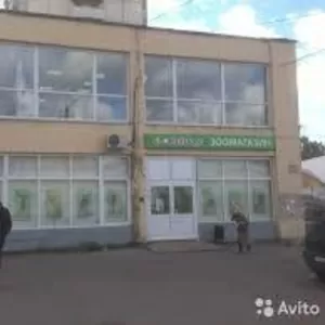 Сдам в аренду офис в Борисове