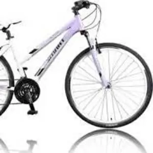 Женский велосипед Smart Alpina (Lady)