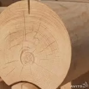 деревообрабатывающее предприятие