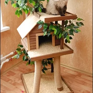Дом для кота