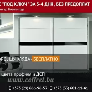 Шкафы-купе под заказ за 3-4 дня. Бюджетные варианты.