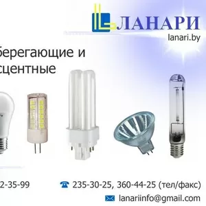 Лампы энергосберегающие и люминесцентные.