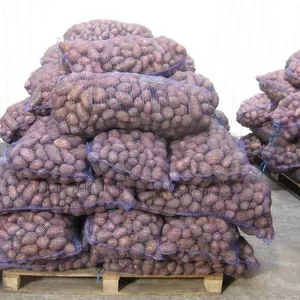 Картофель оптом от производителя в Беларуси