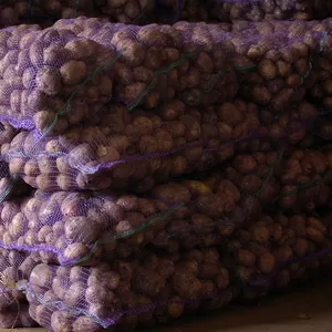 Картофель  из Беларуси оптом от производителя