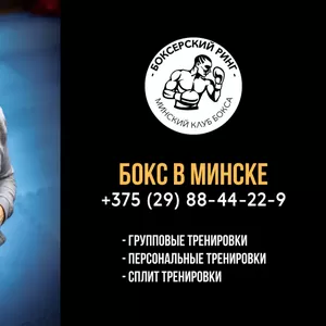 Занятия боксом в Минске