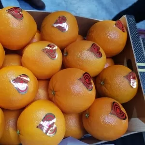 Продаем апельсины от производителей