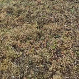 Продам дом в Новашино 20 км от Минска