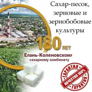 Сахар-песок,  зерновые и зернобобовые культуры в Беларуси