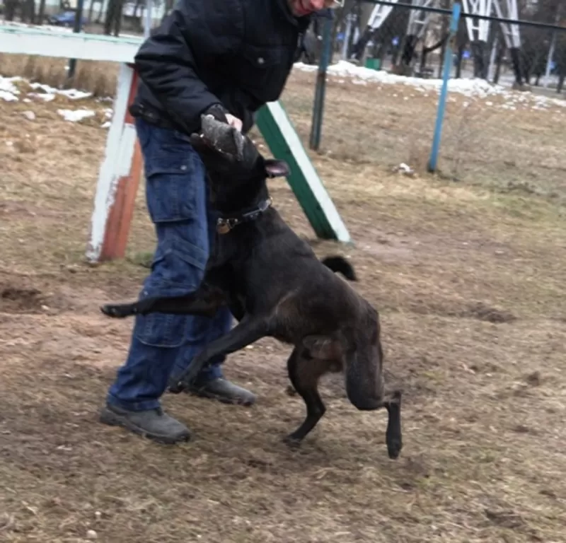Аладдин  в дар! 3