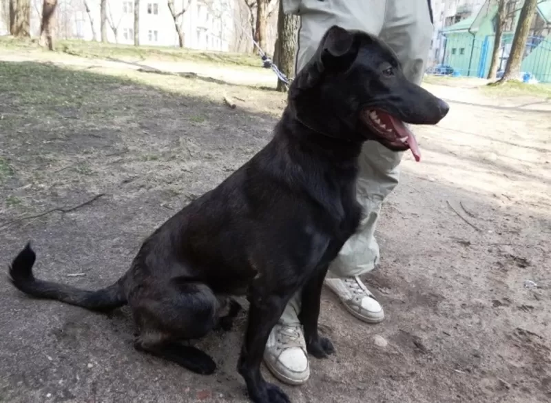 Аладдин  в дар! 4