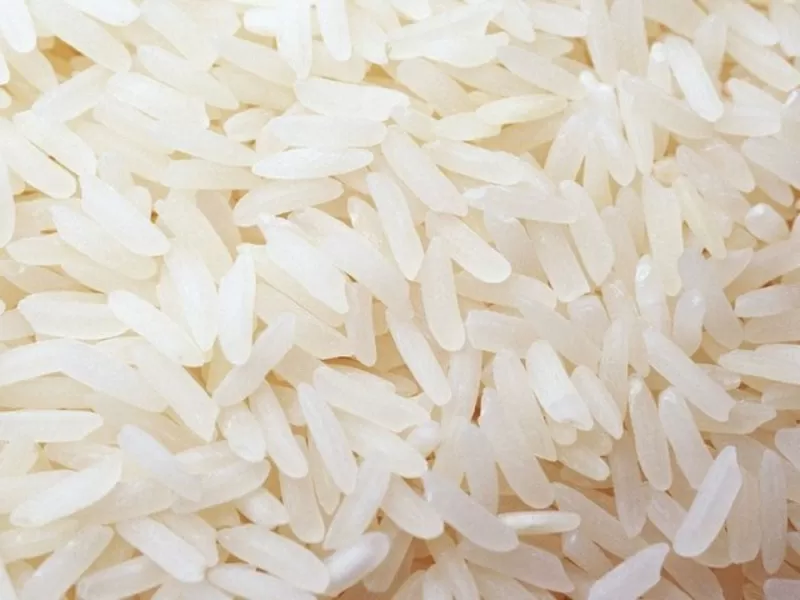 Продам рис в ассортименте