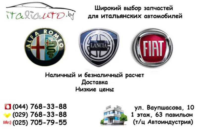 Автозапчасти для Fiat,  Alfa Romeo,  Lancia в Минске 4