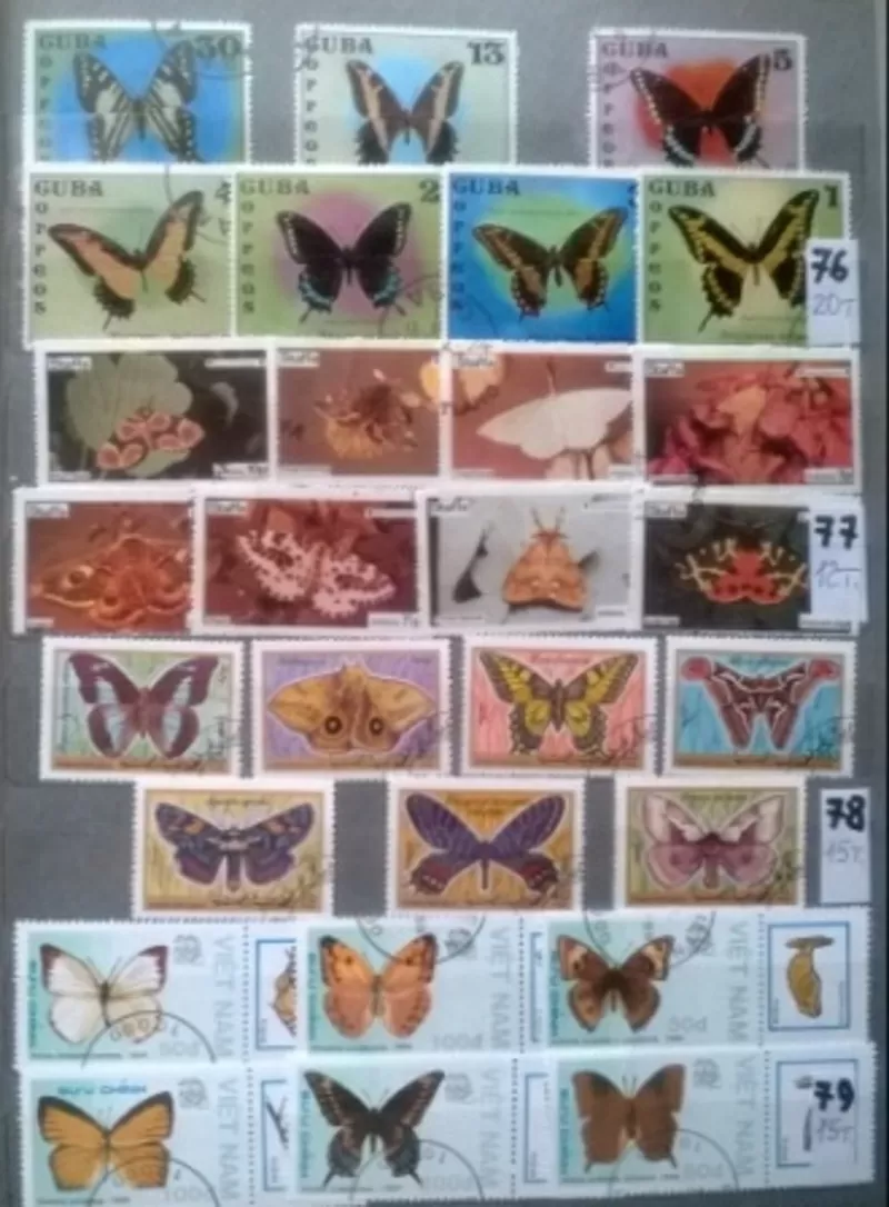 Почтовые  марки 19