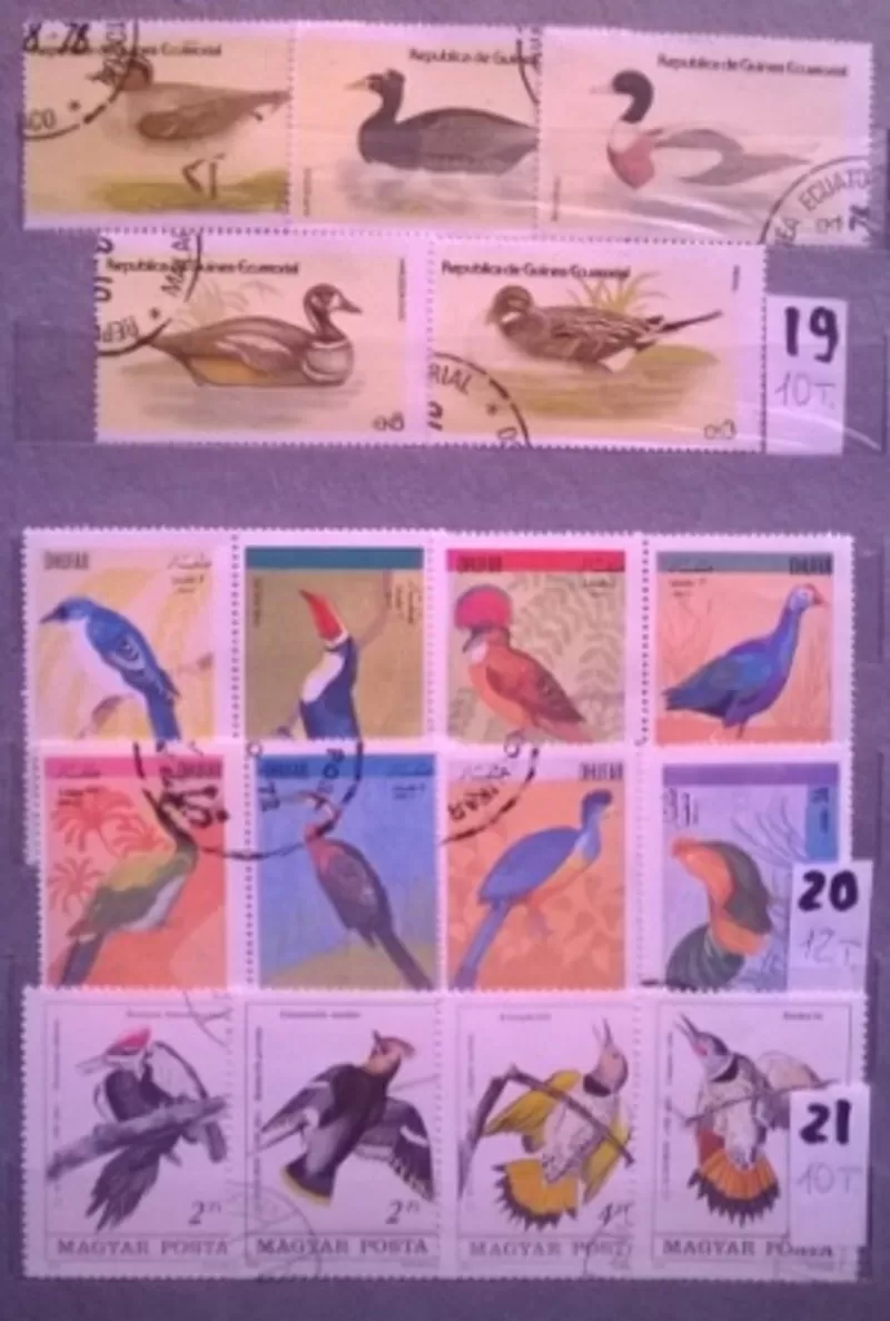 Почтовые  марки 40