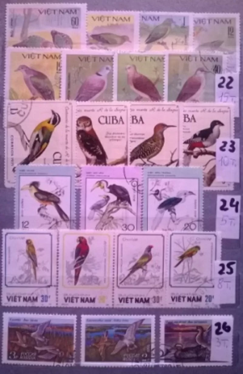 Почтовые  марки 41