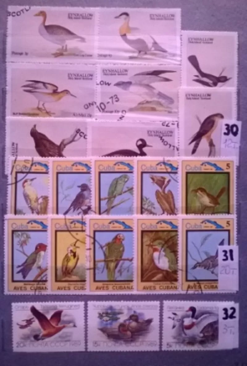 Почтовые  марки 43