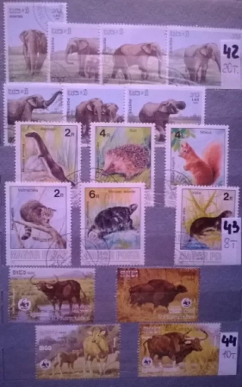Почтовые  марки 47