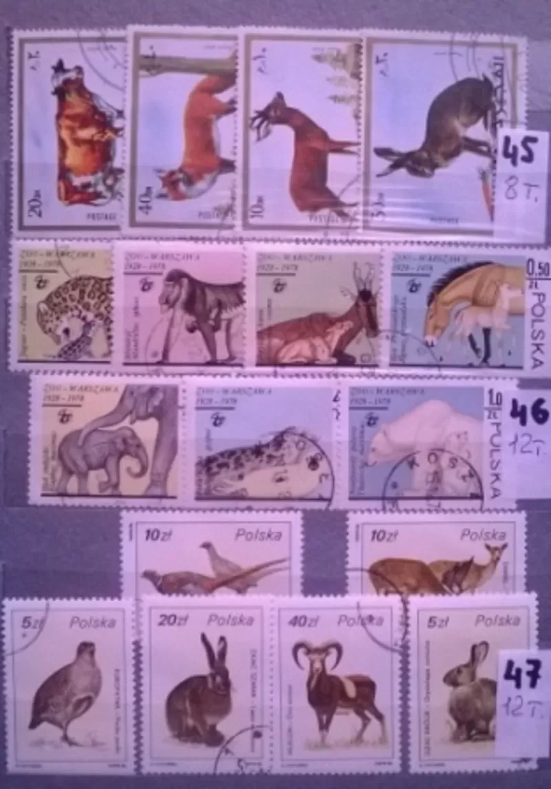 Почтовые  марки 48