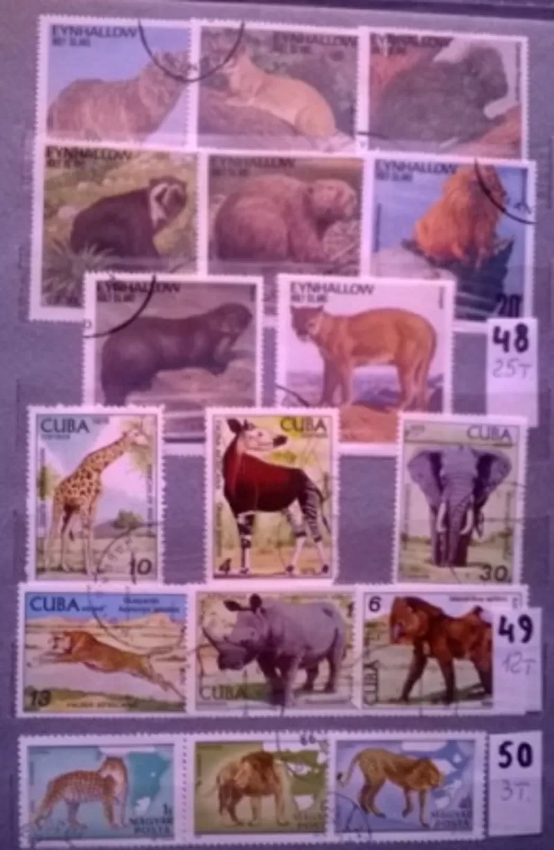Почтовые  марки 49