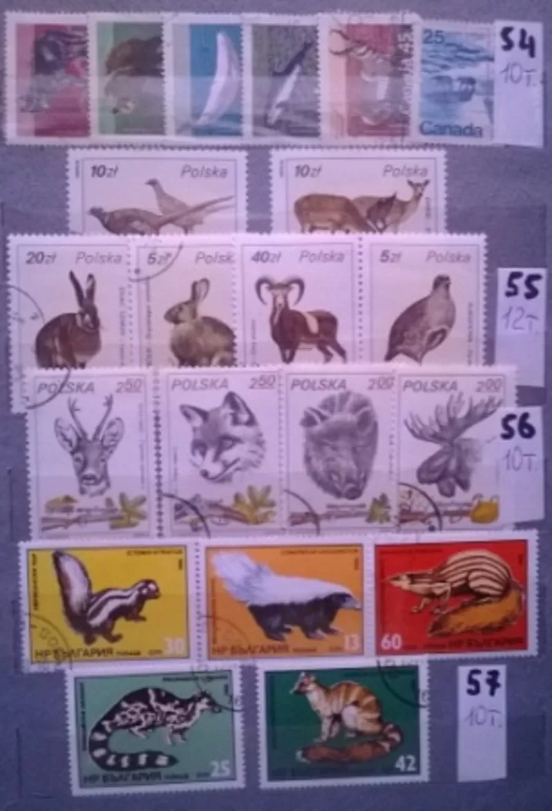 Почтовые  марки 51