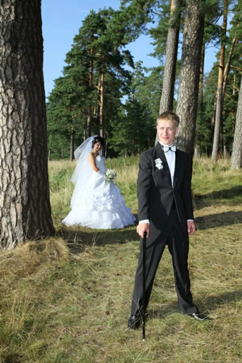 свадебные наряды -невесте платье, жениху смокинг и фрак 31
