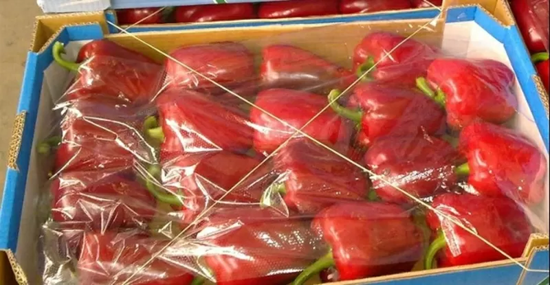 томаты, огурцы, перец, баклажан испанского происхождения  10