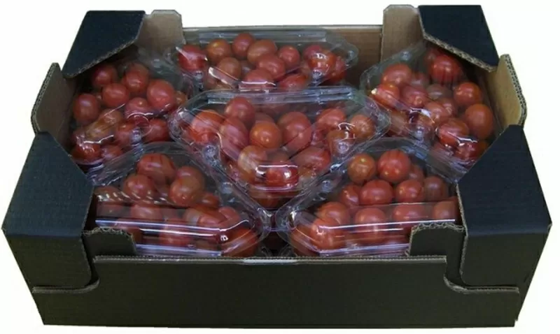 томаты, огурцы, перец, баклажан испанского происхождения  11