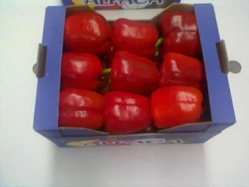 томаты, огурцы, перец, баклажан испанского происхождения  17