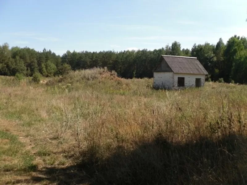 Земля в собственность. Для бизнеса,  для жизни.