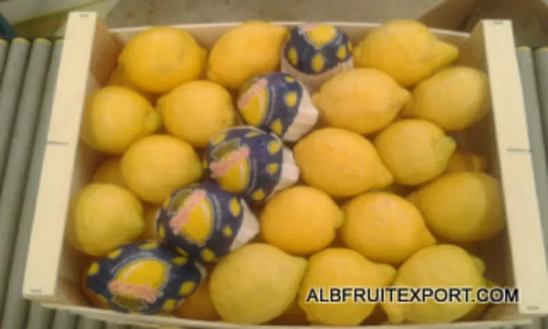 Импорт экспорт фруктов и овощей из Испании