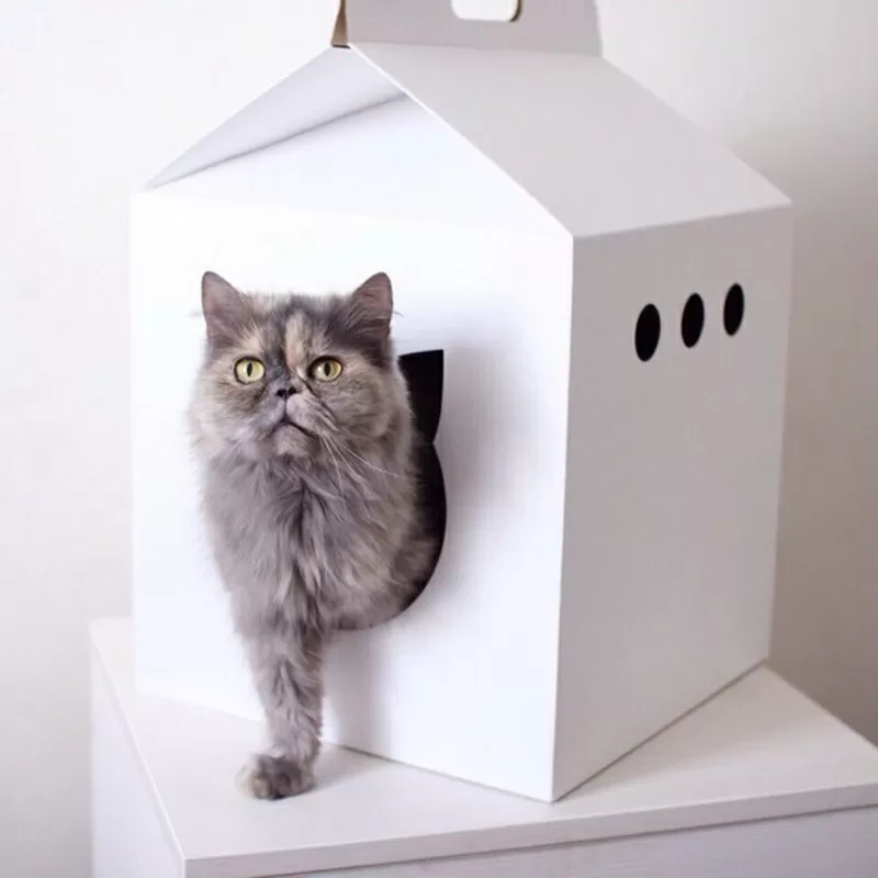 Картонный домик для кота кошки Минск 4
