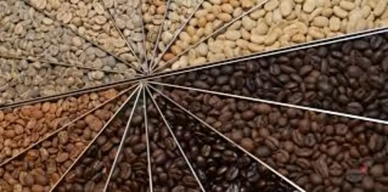 Кофе на любой вкус из Бразилии Индонезии, Индии, Перу, КуБа, Африка и т. д 4